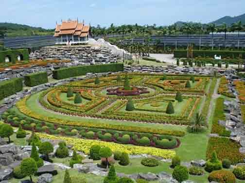 nong nooch1